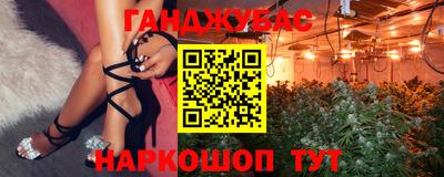 ECSTASY Камышлов