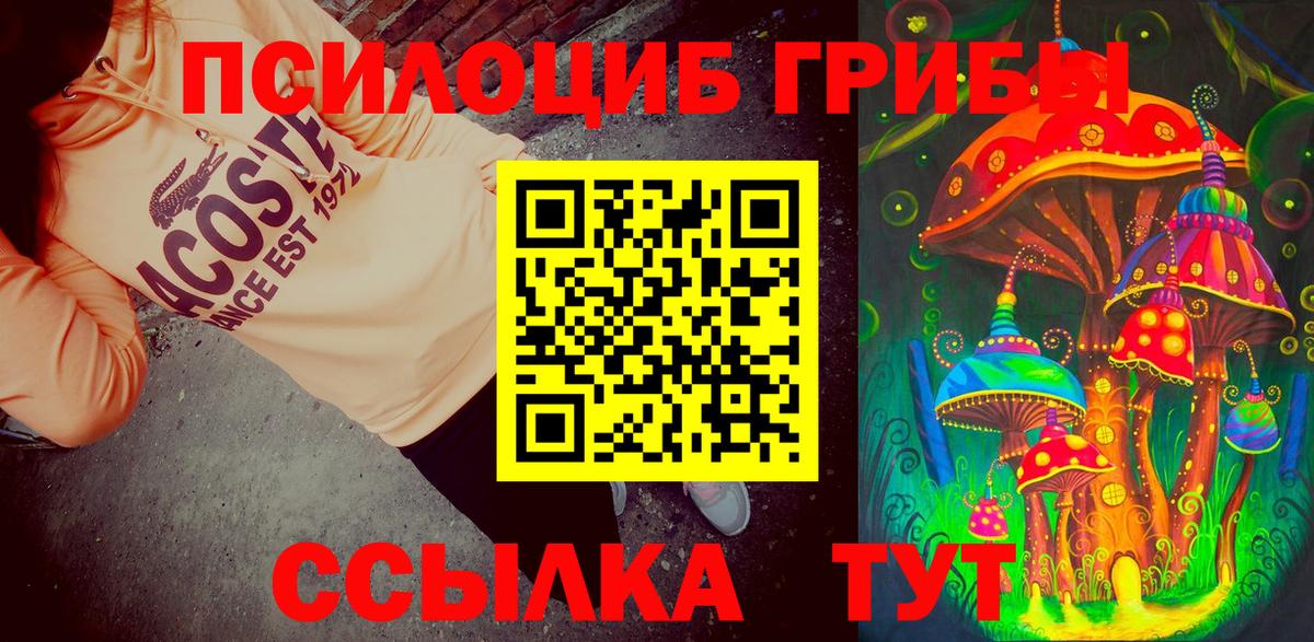 Псилоцибиновые грибы MAGIC MUSHROOMS  Вход с VPN  Галлюциногенные грибы Psilocybe  Павловский Посад 