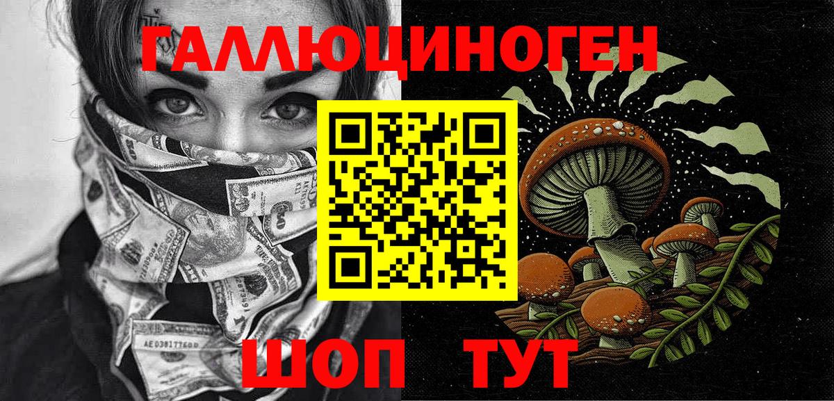 Псилоцибиновые грибы прущие грибы Павловский Посад